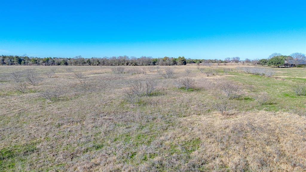 Kerens, TX 75144,Lot 8 NE CR 2160