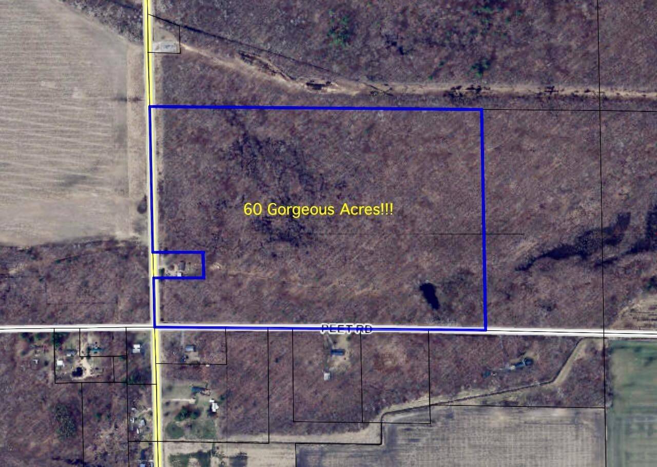 Elsie, MI 48831,V/L Chapin RD