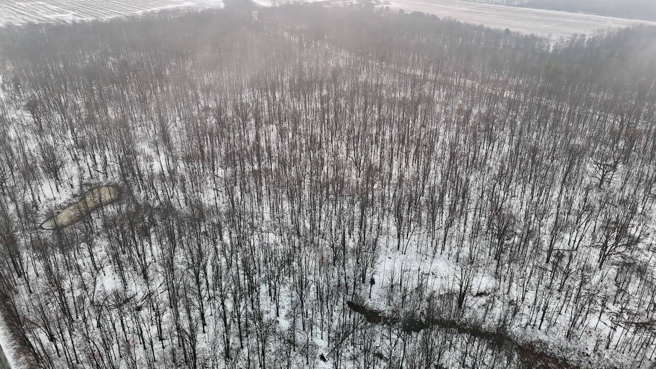 Elsie, MI 48831,V/L Chapin RD