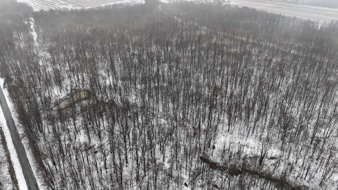 Elsie, MI 48831,V/L Chapin RD