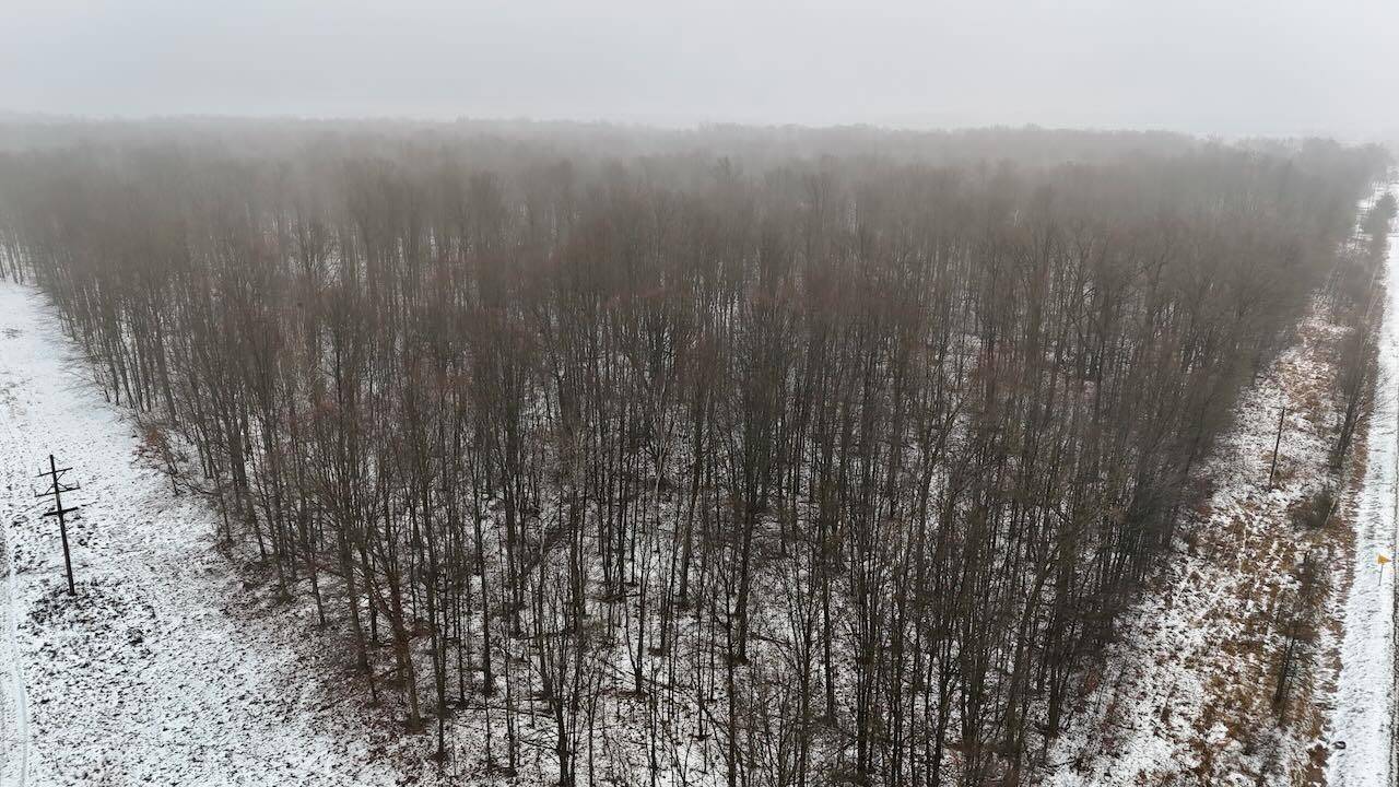 Elsie, MI 48831,V/L Chapin RD