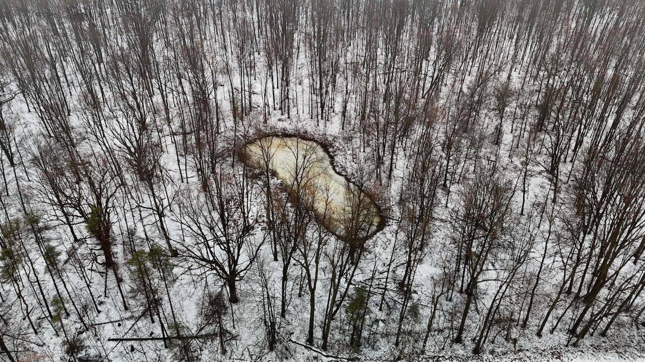 Elsie, MI 48831,V/L Chapin RD