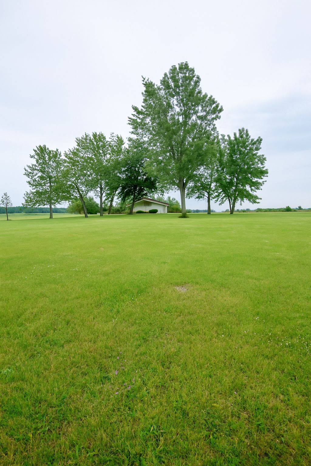 Haldimand, ON N0A 1H0,2264 Regional Road 55 N/A