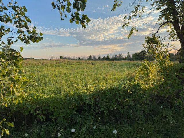 Greater Napanee, ON K7R 3K7,3878 County Rd 8 N/A