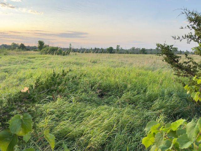 Greater Napanee, ON K7R 3K7,3878 County Rd 8 N/A