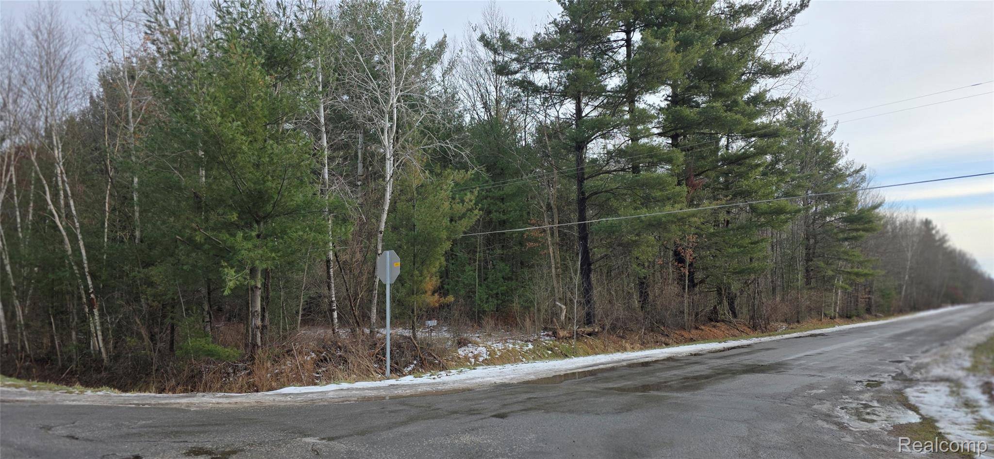 Burt, MI 48417,1470 E Burt RD E