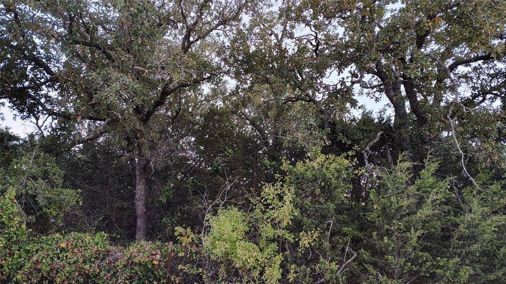 Abilene, TX 79602,TBD CR 218