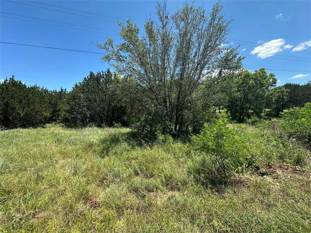 Bluff Dale, TX 76433,TBD Peninsula Drive