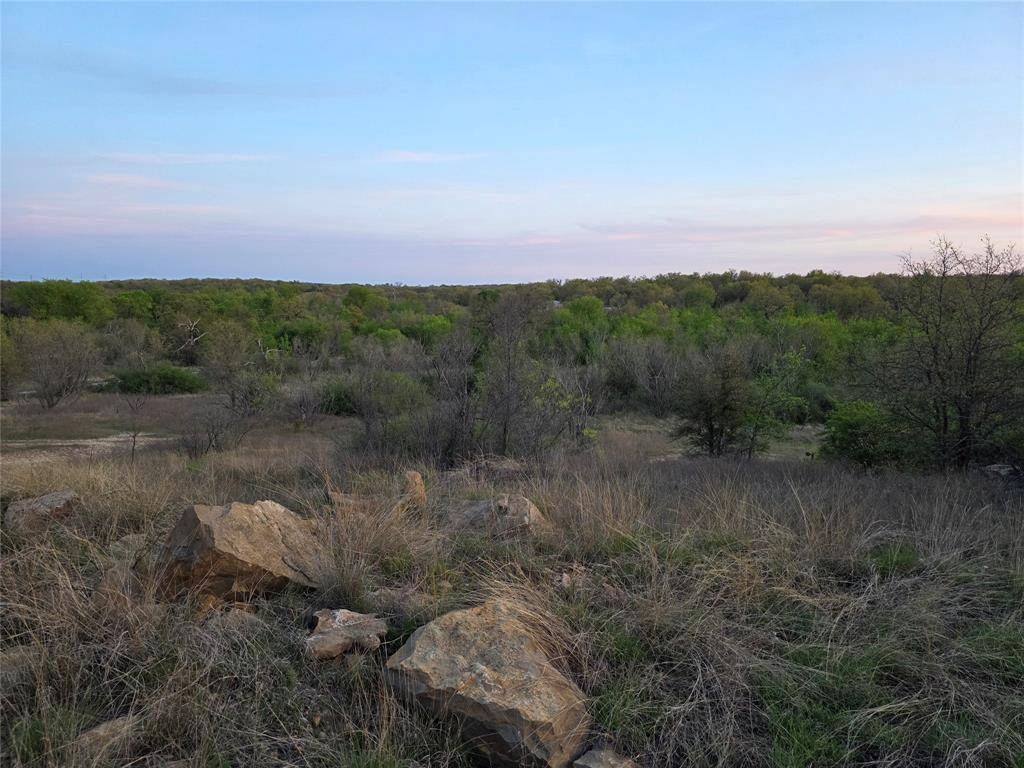 Gorman, TX 76454,0 Co Rd 303