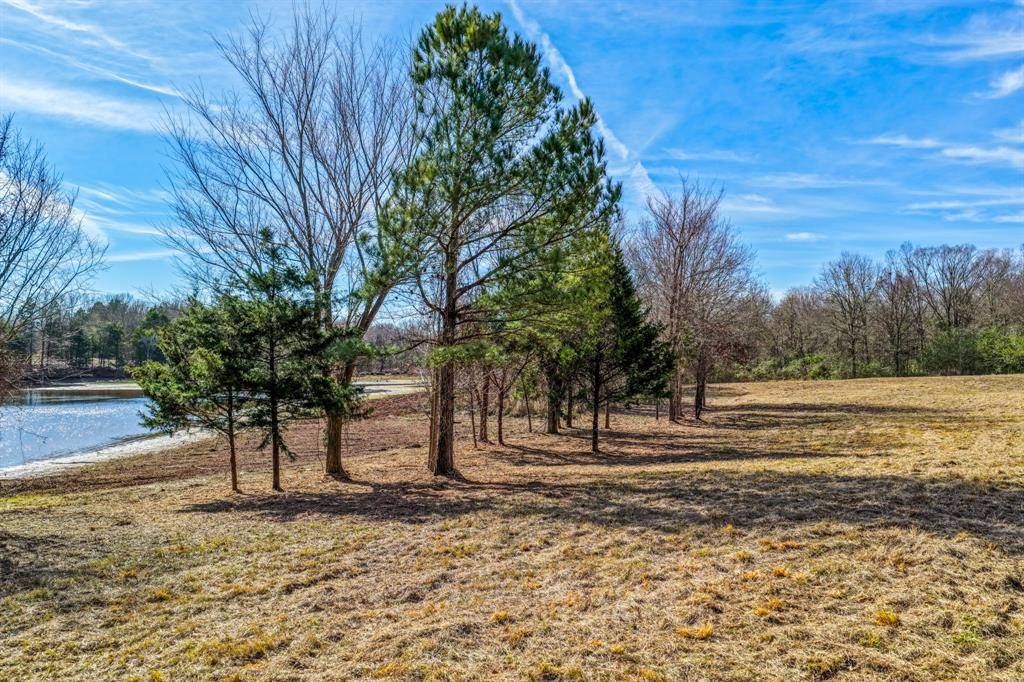 Alba, TX 75410,TBD County Road 1573