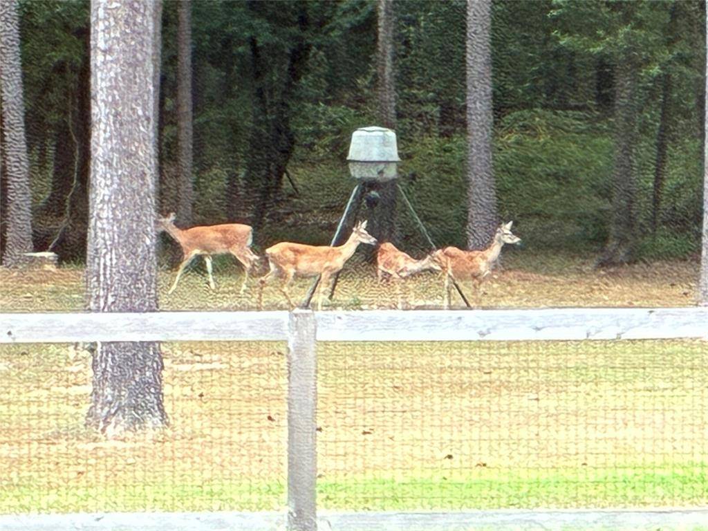 Benton, LA 71006,145 Crouch Road