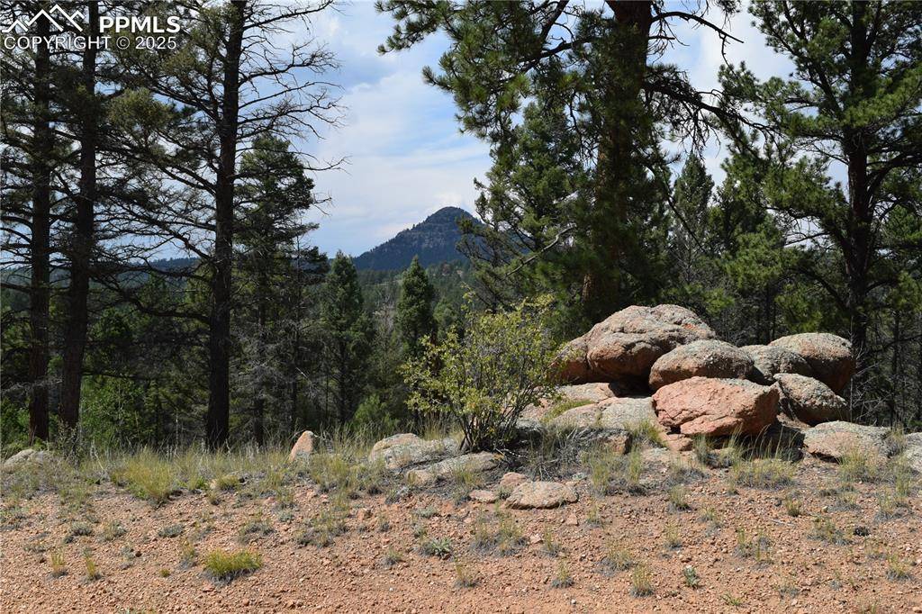 Florissant, CO 80816,93 Kiowa Creek TRL