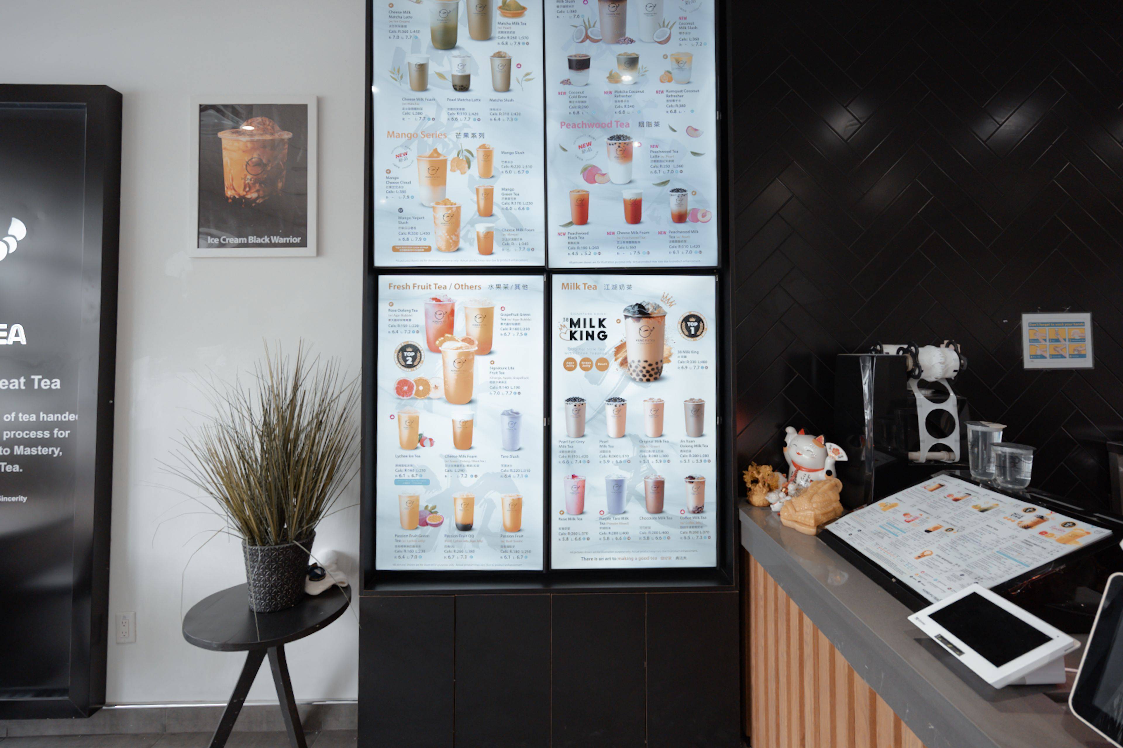 Mississauga, ON L5R 2N3,223 Ceremonial DR #10