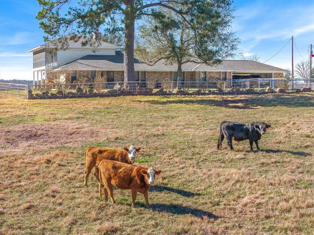 Van, TX 75790,1700 Fm 1995