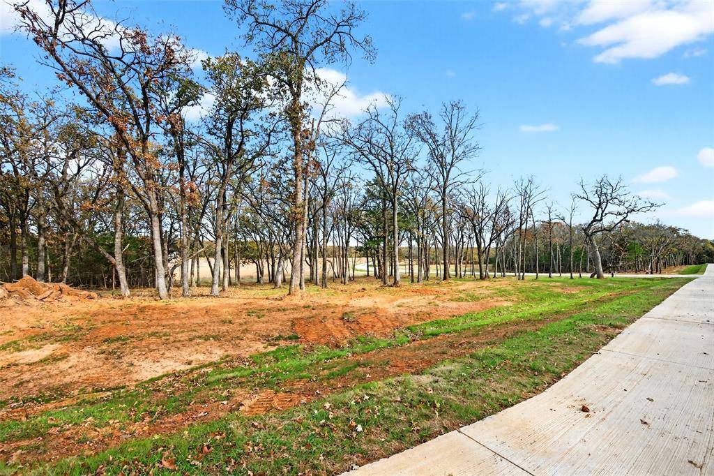 Pottsboro, TX 75076,Lot 12 Buck Trail