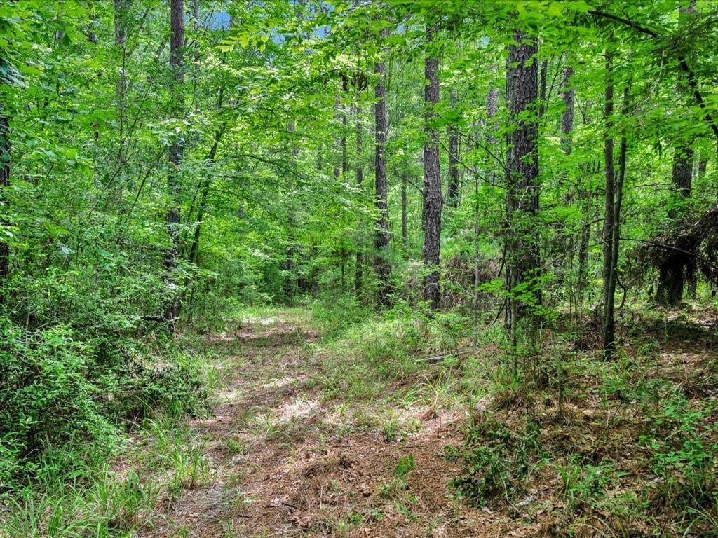 Lufkin, TX 75904,5700 FM 2497