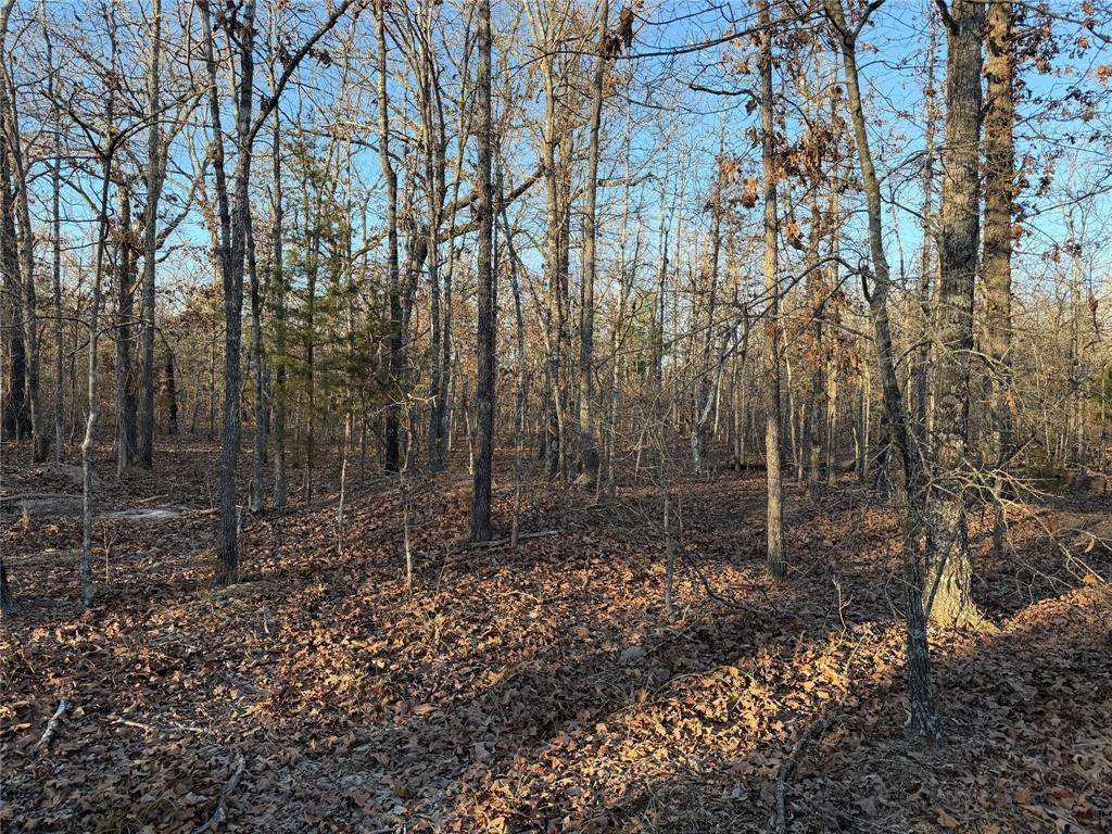 Blossom, TX 75416,TBD CR 45610