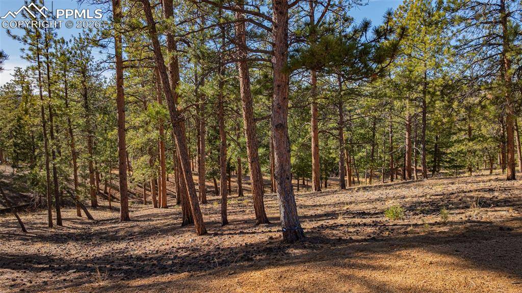 Sedalia, CO 80135,113 Schmittel DR