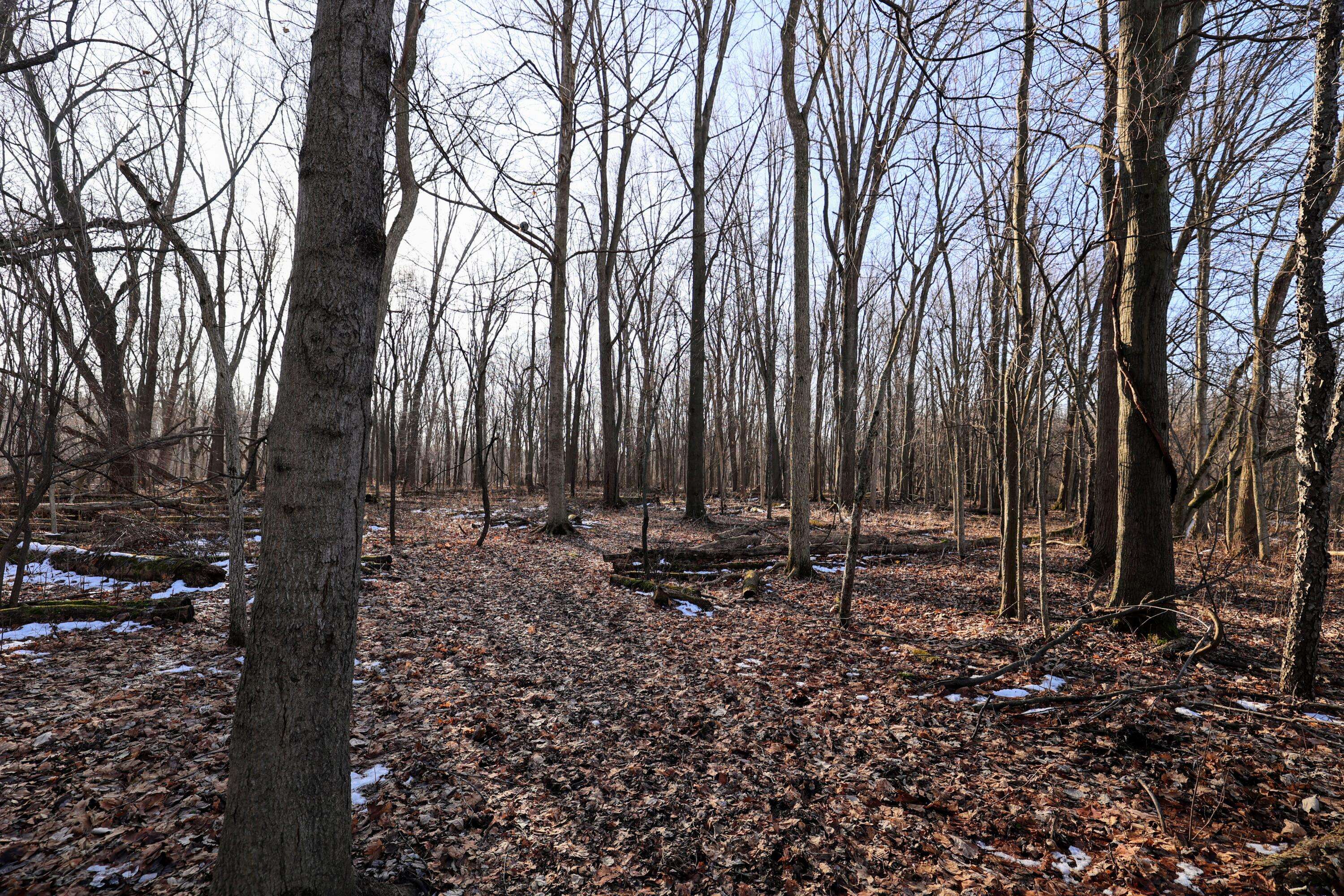 Charlotte, MI 48813,1767 Flanders RD