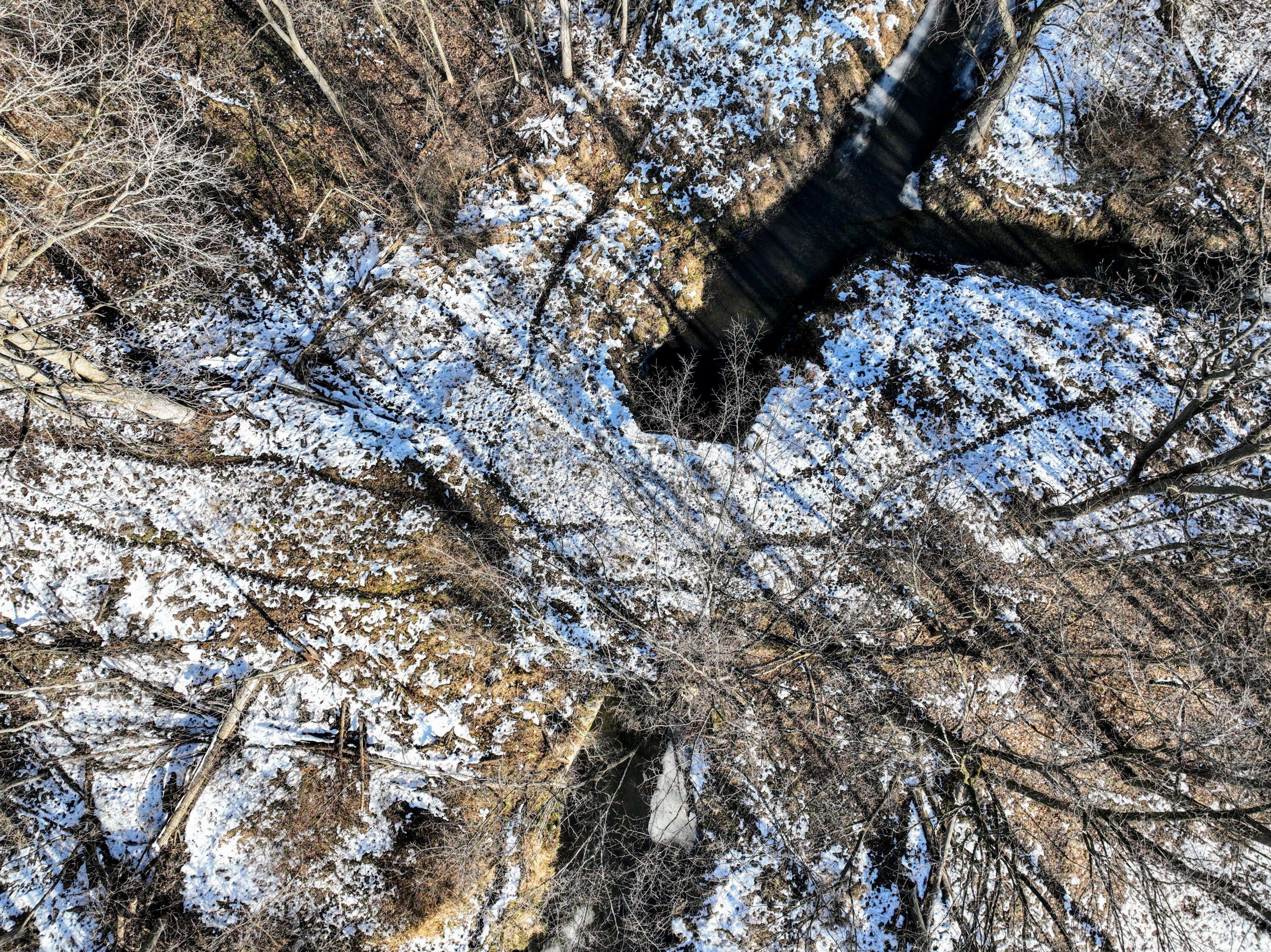 Charlotte, MI 48813,1767 Flanders RD