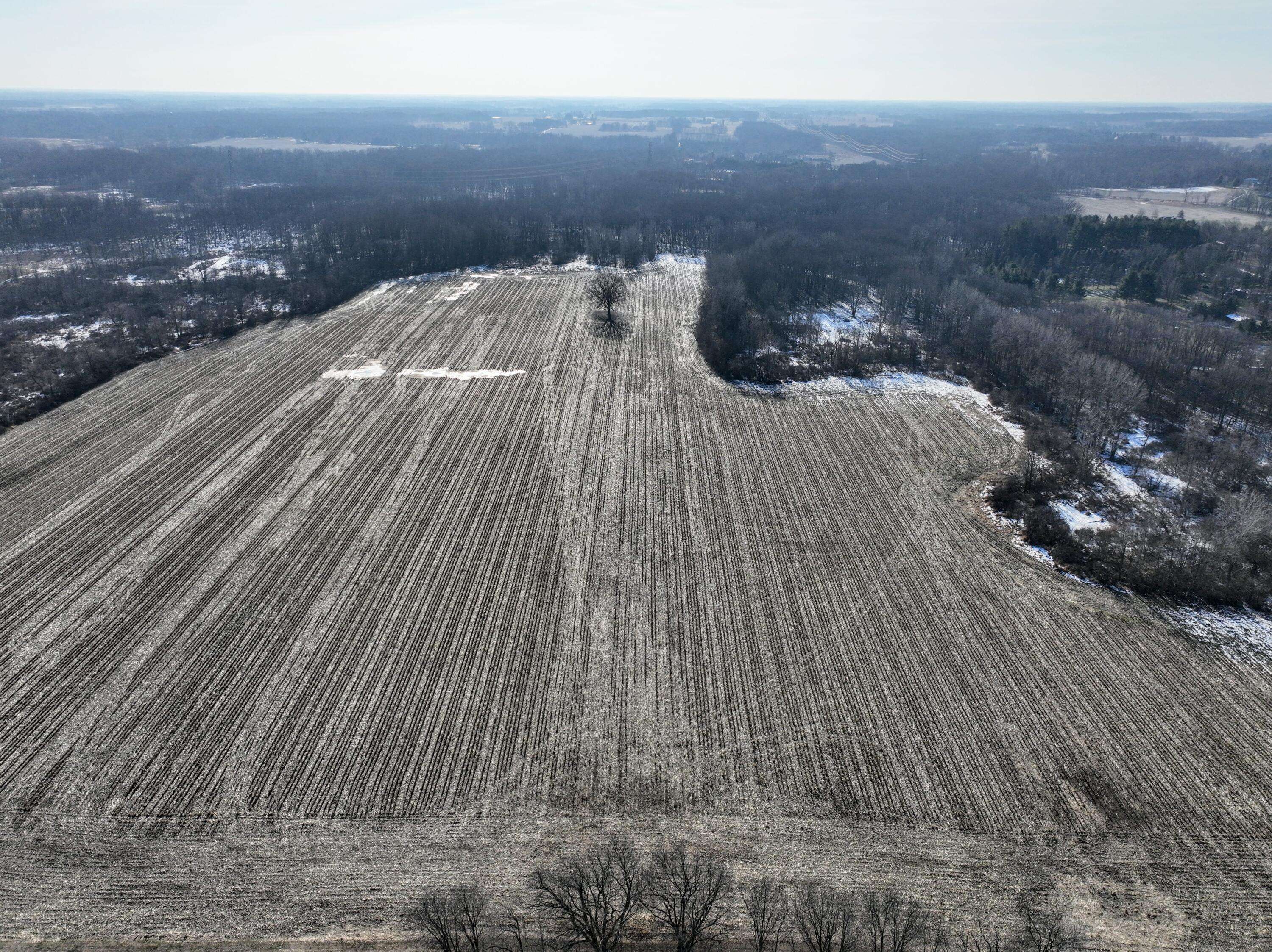 Charlotte, MI 48813,1767 Flanders RD