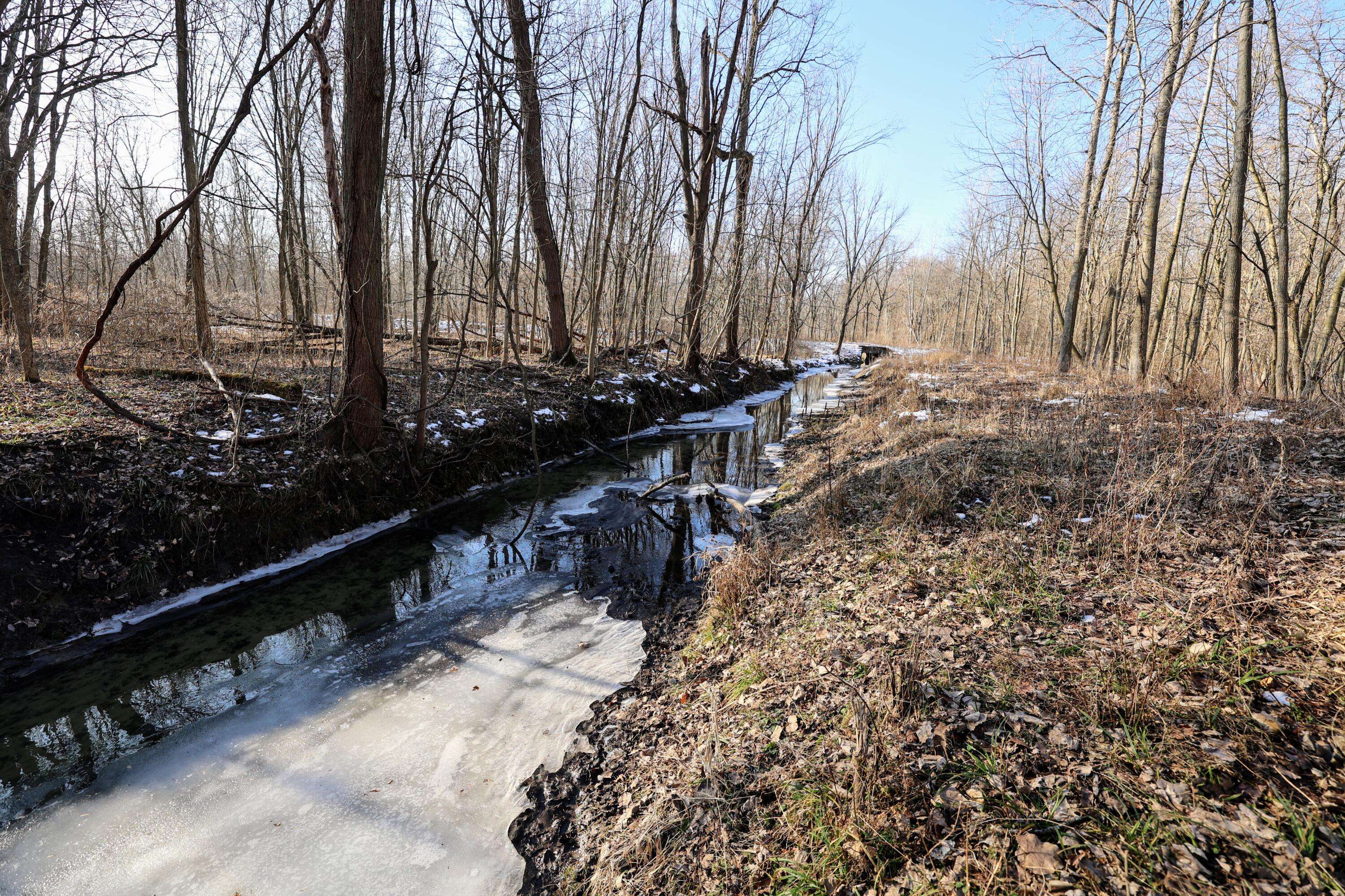 Charlotte, MI 48813,1767 Flanders RD