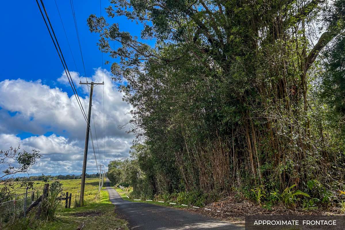 Mountain View, HI 96771,18-4205 N PECK RD