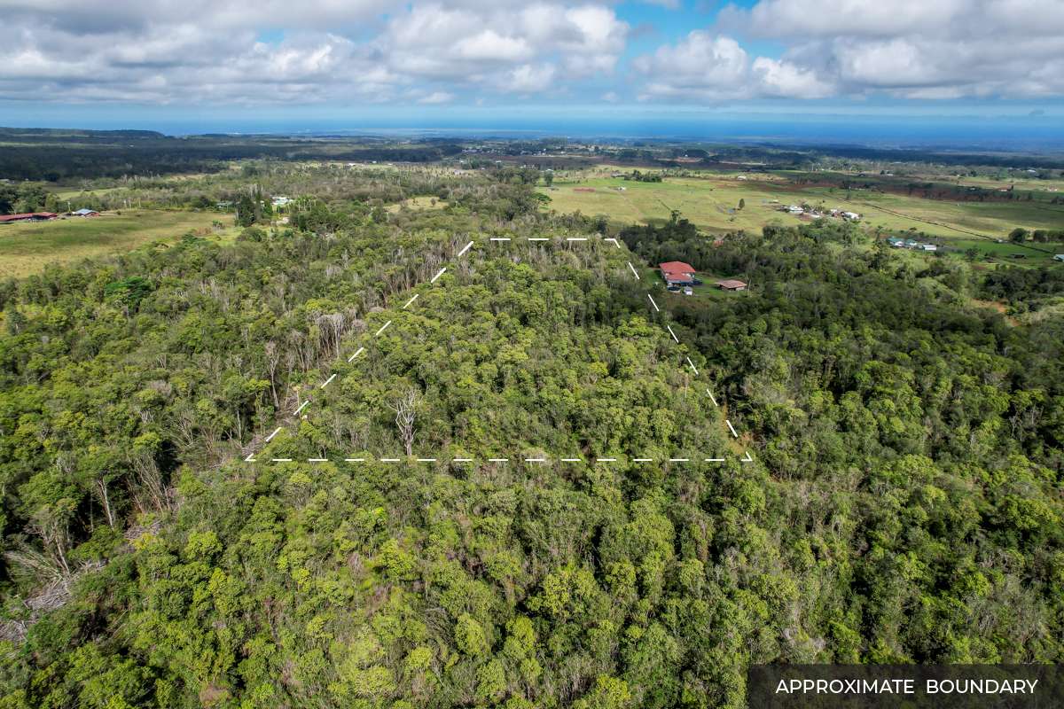 Mountain View, HI 96771,18-4205 N PECK RD