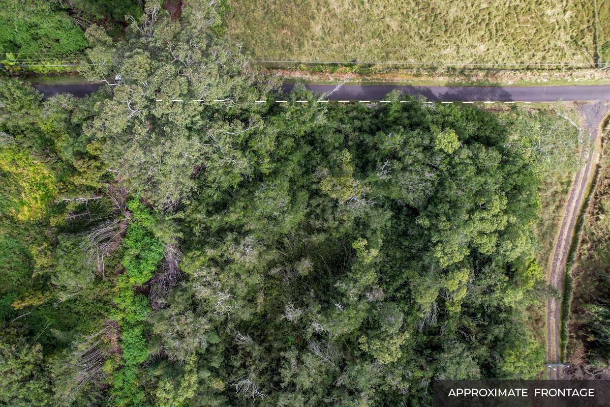 Mountain View, HI 96771,18-4205 N PECK RD