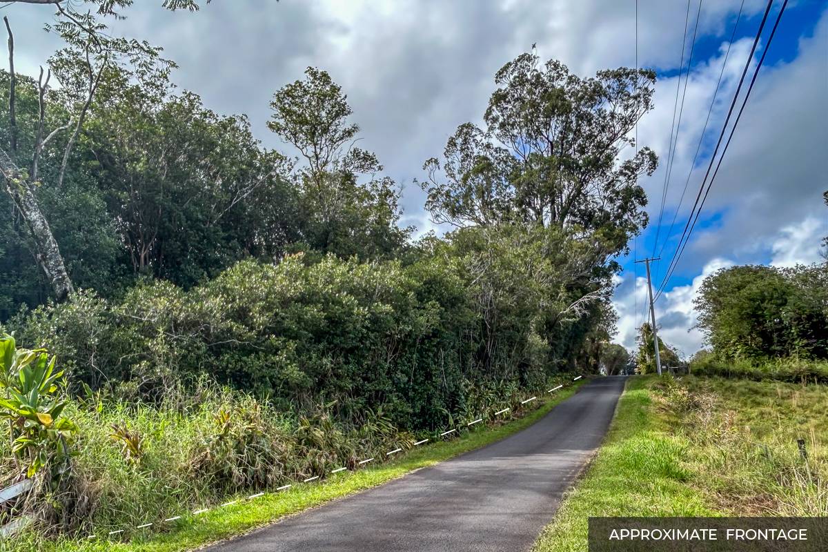 Mountain View, HI 96771,18-4205 N PECK RD