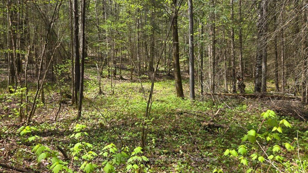 Chisholm, ON P0H 1Z0,Pt Lt 10 Con 16 Village RD