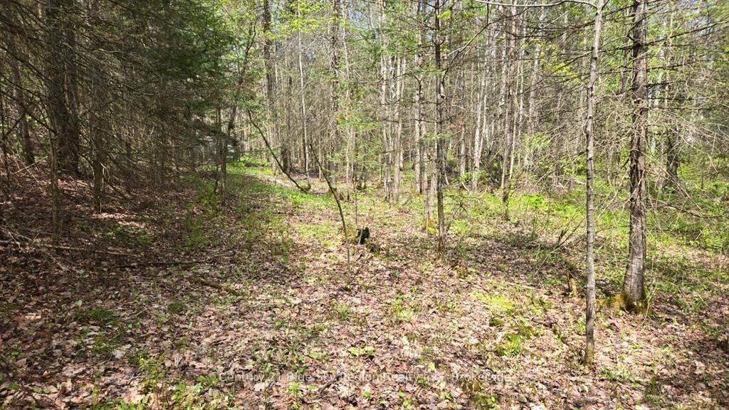 Chisholm, ON P0H 1Z0,Pt Lt 10 Con 16 Village RD