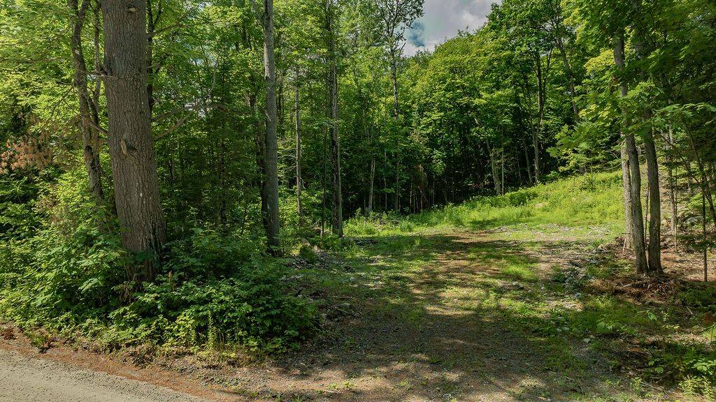 Lake Of Bays, ON P0B 1A0,0000 Ril lake RD S