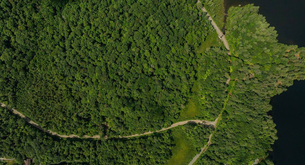 Lake Of Bays, ON P0B 1A0,0000 Ril lake RD S