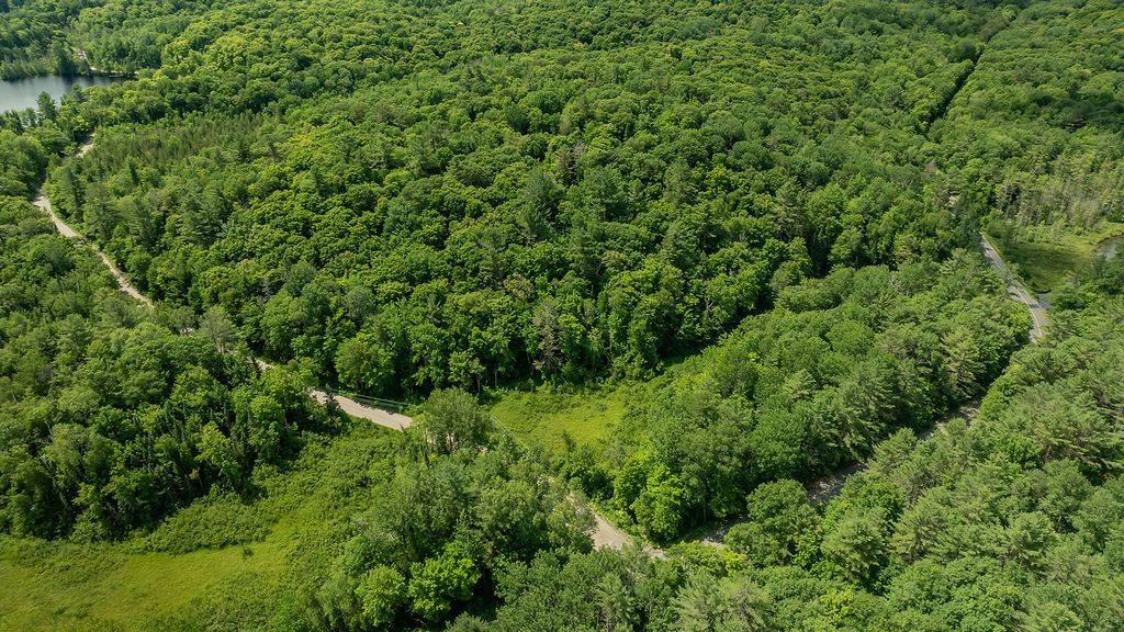 Lake Of Bays, ON P0B 1A0,0000 Ril lake RD S