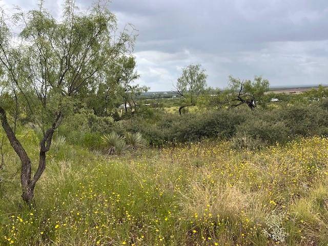 Merkel, TX 79536,TBD2 County Road 405