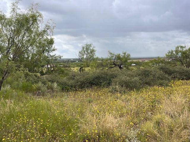 Merkel, TX 79536,TBD2 County Road 405