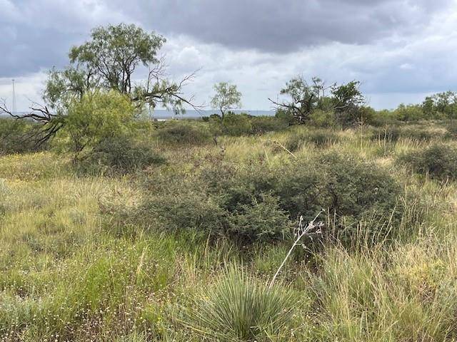 Merkel, TX 79536,TBD2 County Road 405