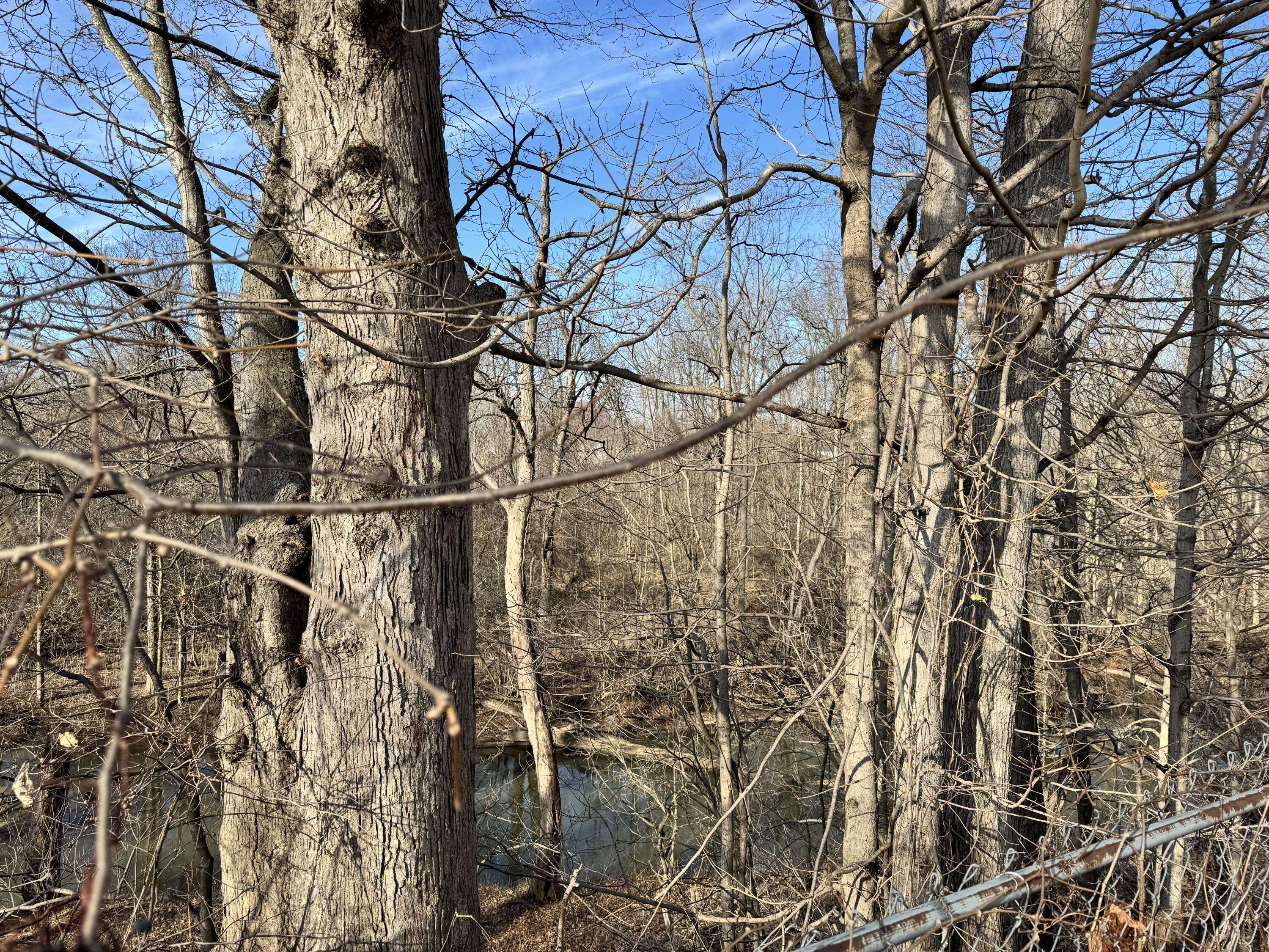 Adrian, MI 49221,1100 S Main ST #171