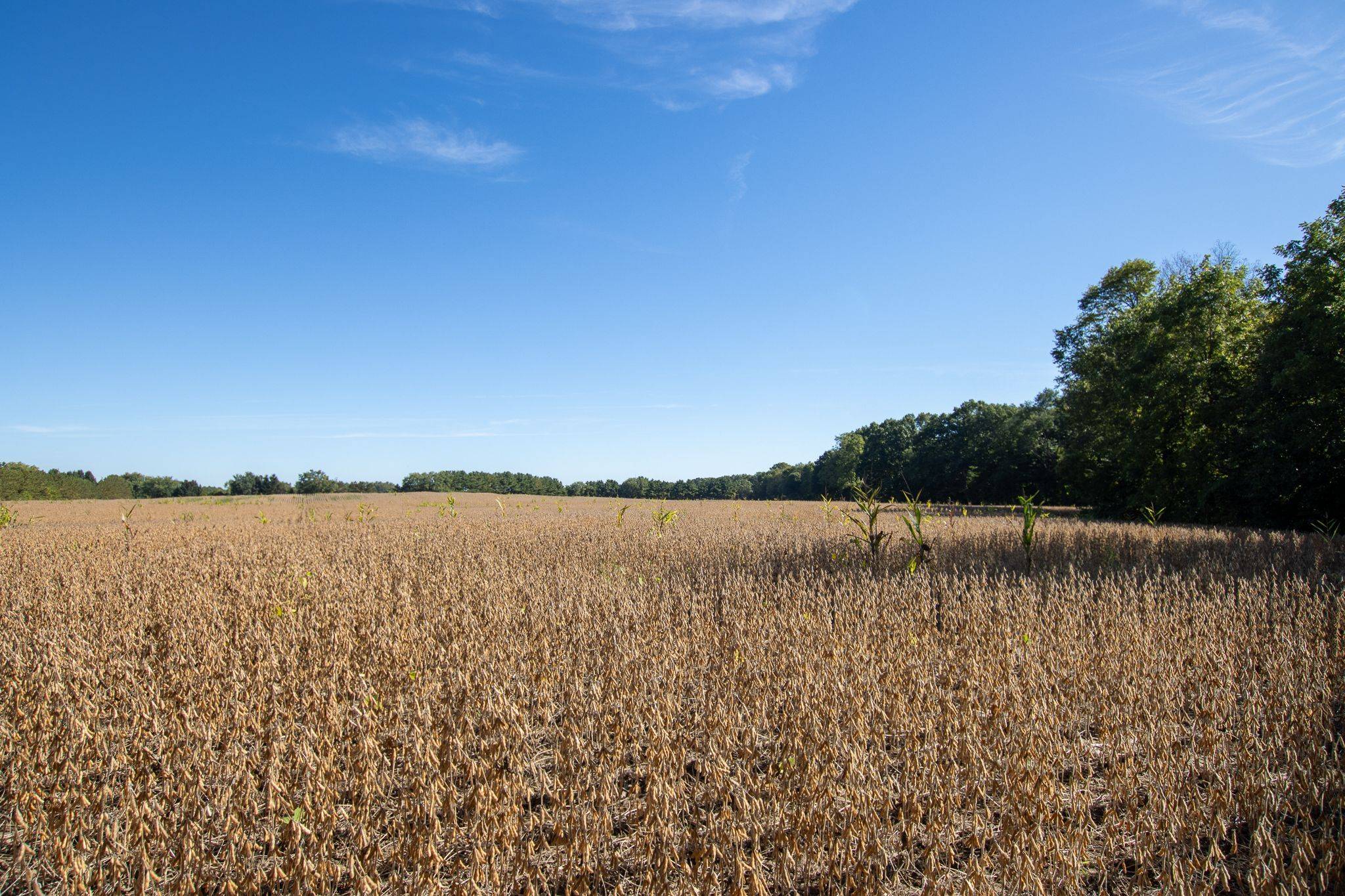 Strathroy-caradoc, ON N0L 1W0,22580 Troops RD