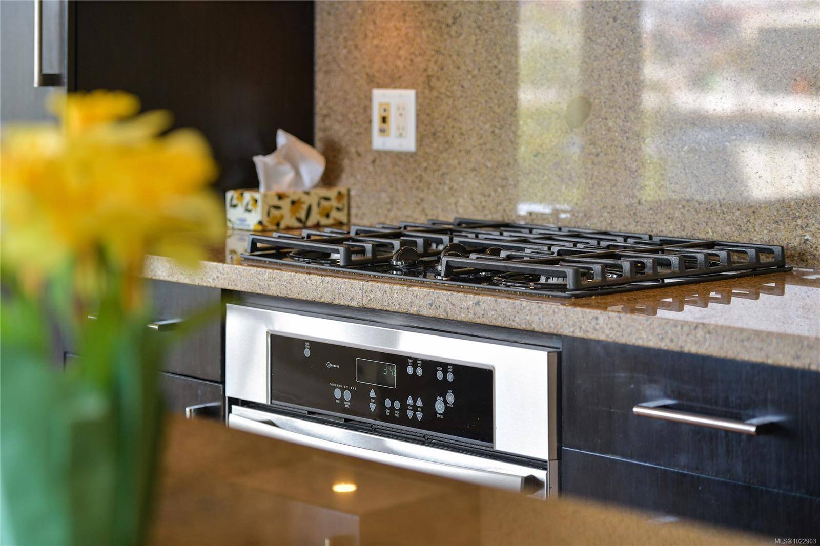 Victoria, BC V9A 0B4,379 Tyee Rd #204