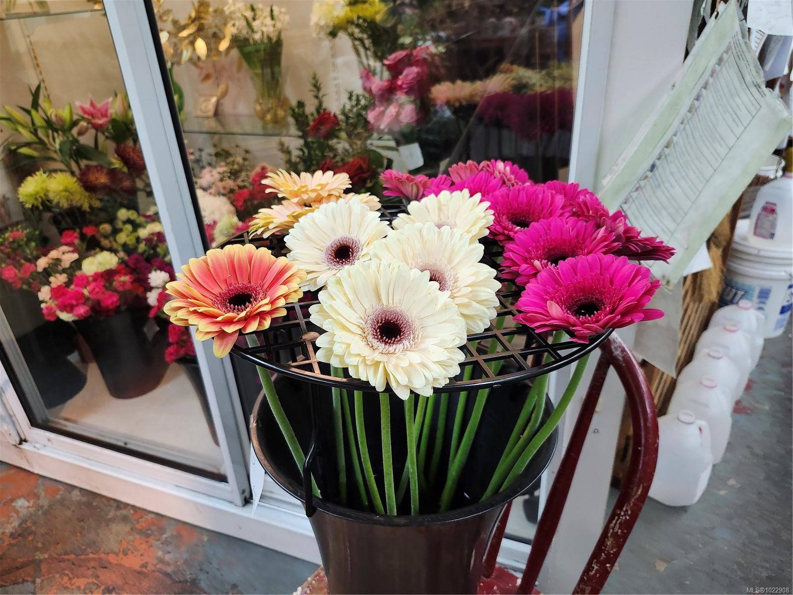 Parksville, BC V9P 2G8,102 Island Hwy E #2