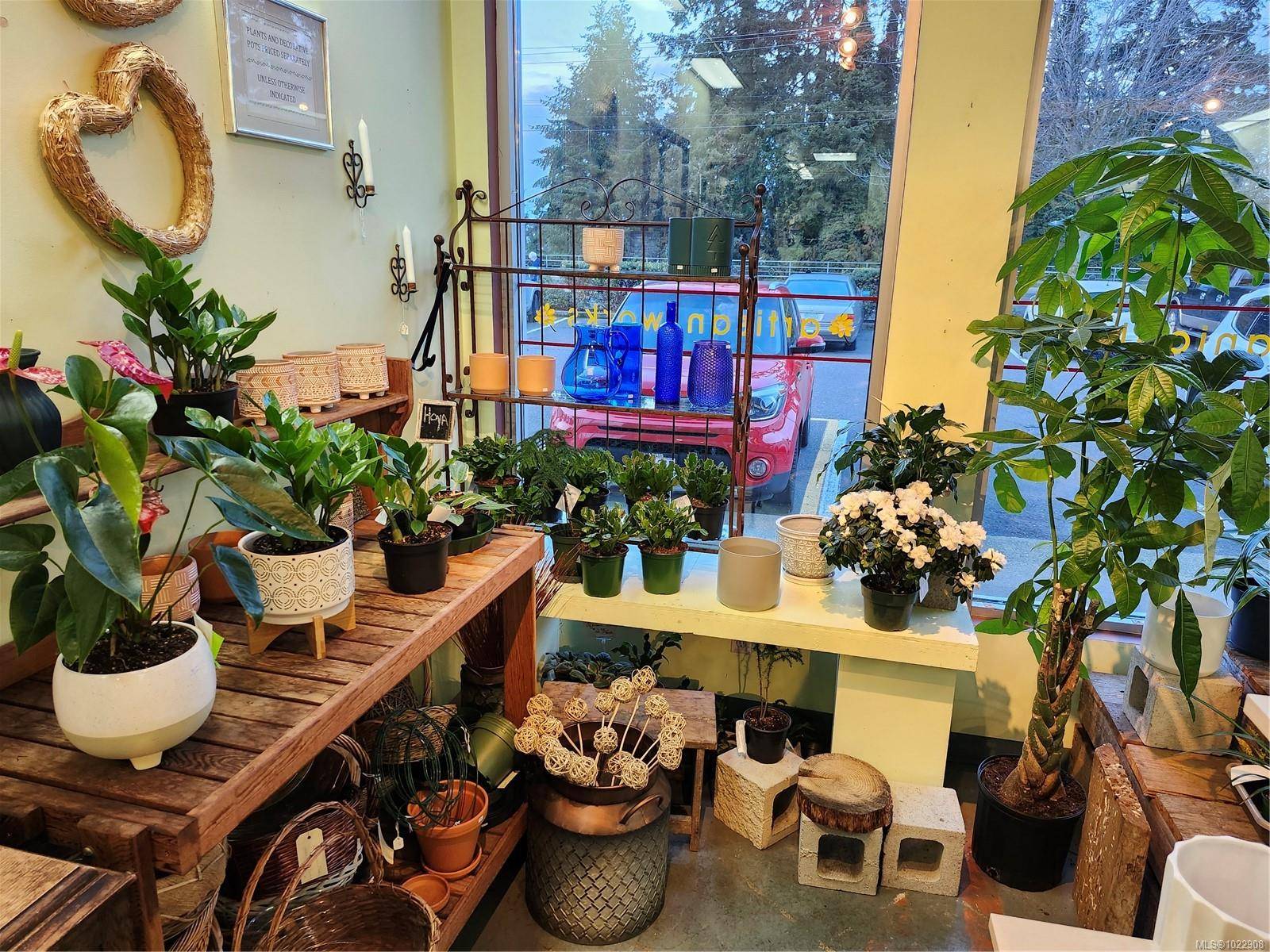 Parksville, BC V9P 2G8,102 Island Hwy E #2