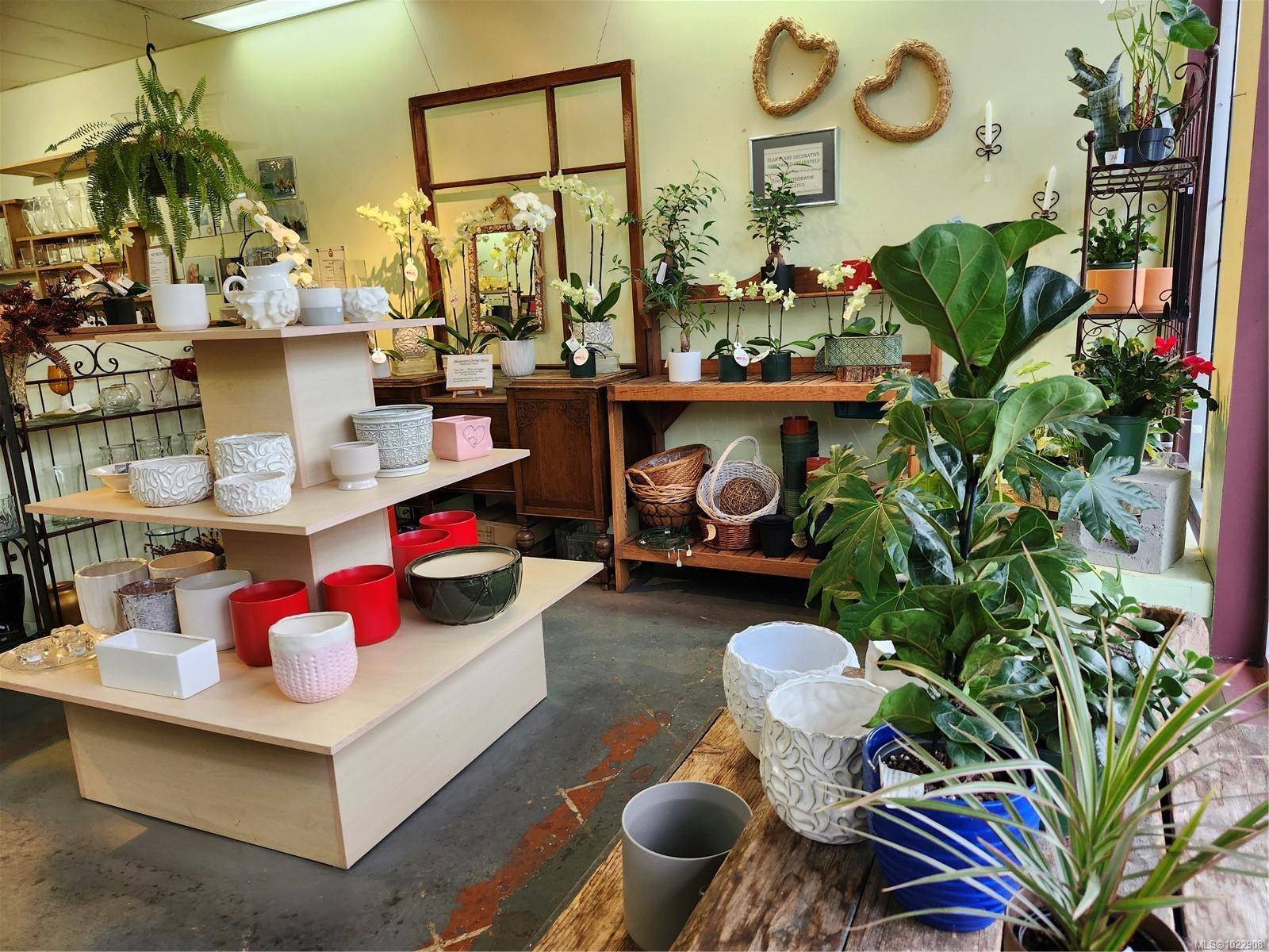 Parksville, BC V9P 2G8,102 Island Hwy E #2