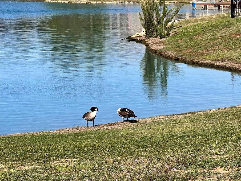 Granbury, TX 76049,4012 Upper Lake Circle