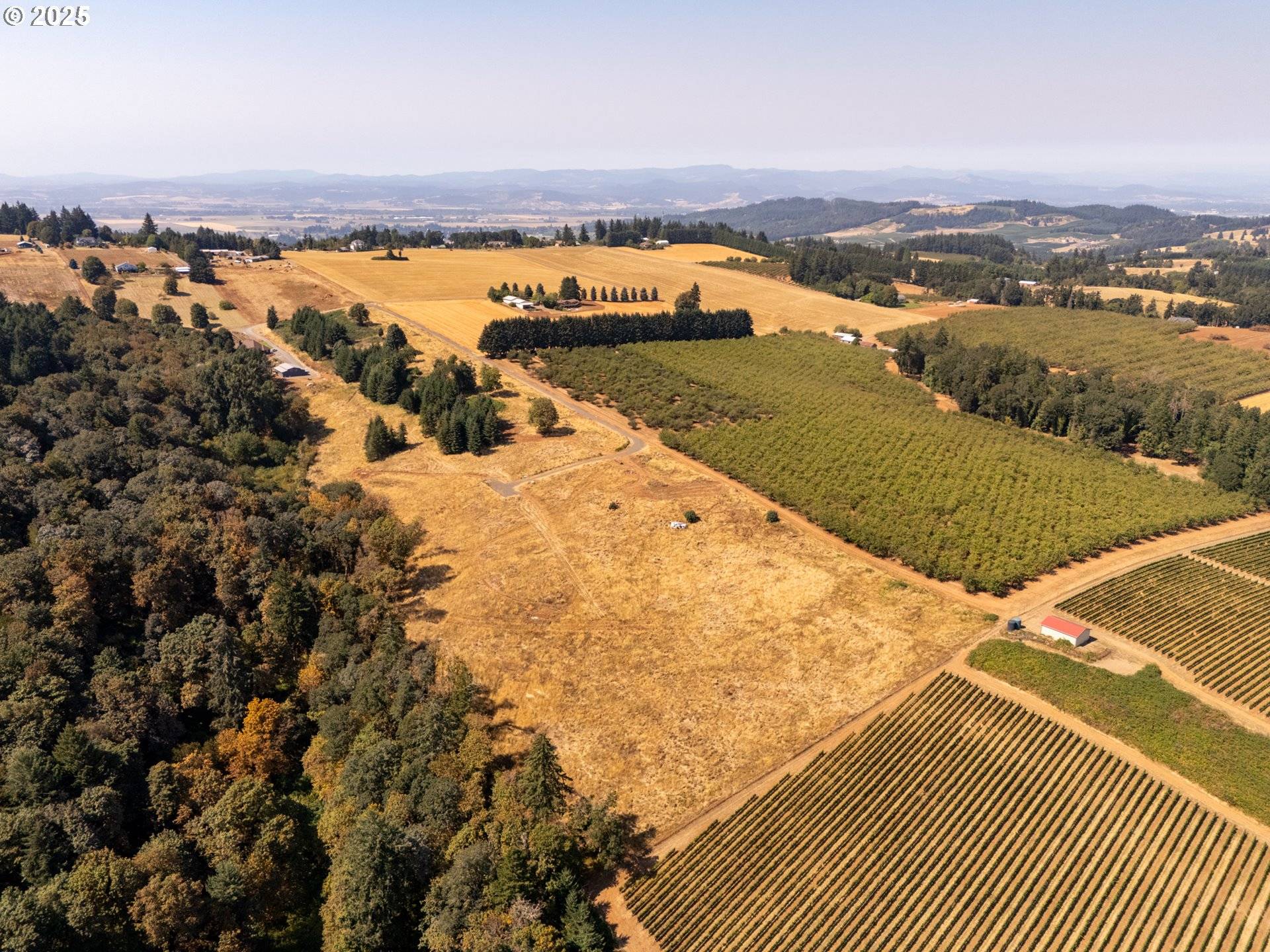 Amity, OR 97101,20 Franquette