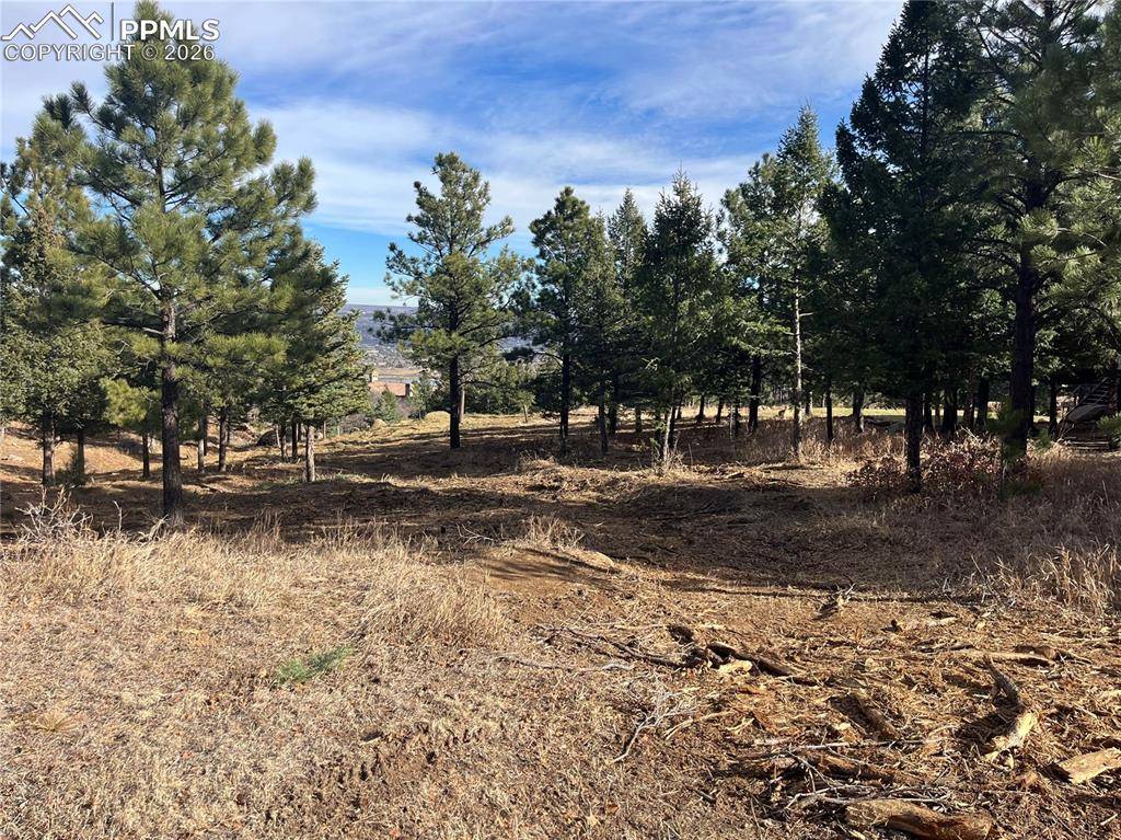 Colorado Springs, CO 80906,4875 Willow Stone HTS