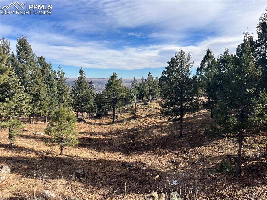 Colorado Springs, CO 80906,4875 Willow Stone HTS