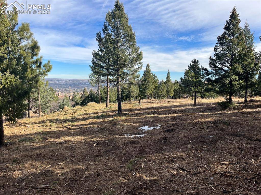 Colorado Springs, CO 80906,4875 Willow Stone HTS