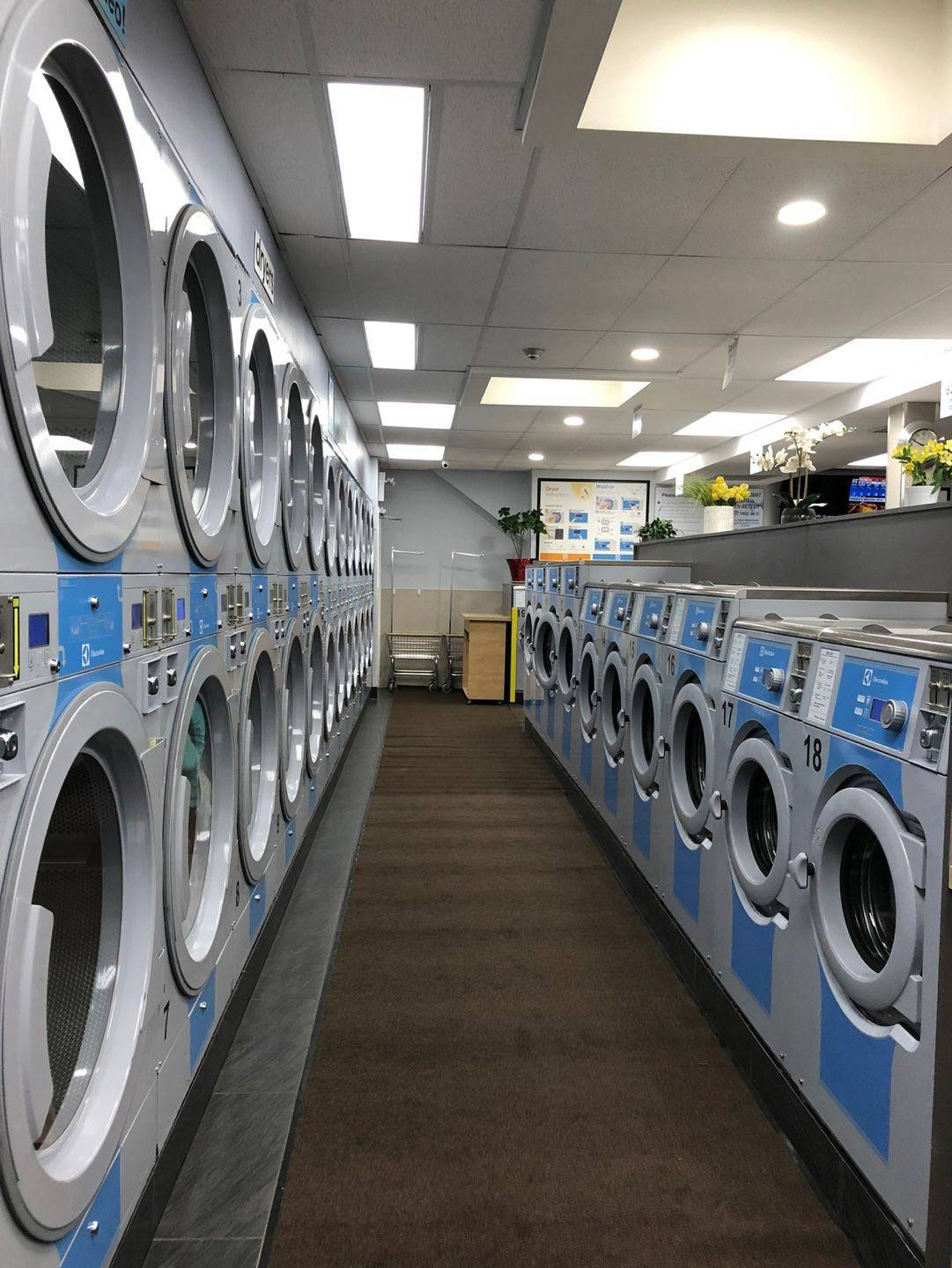 Toronto C01, ON M5S 1H4,172 Harbord ST